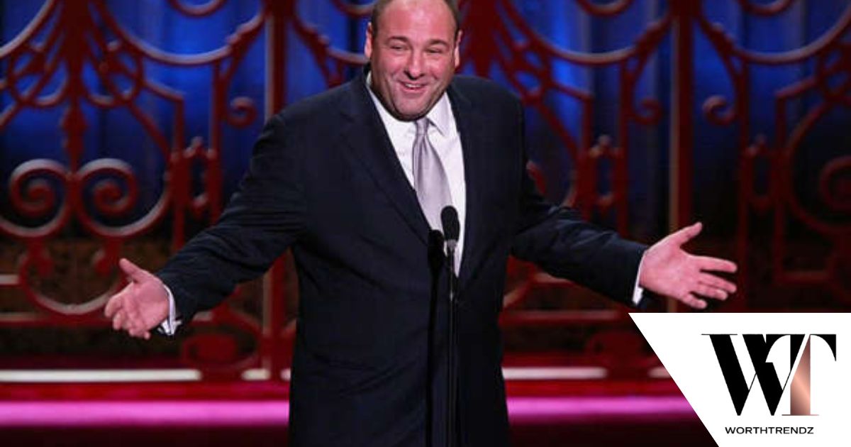 How Did James Gandolfini Build His Fortune?