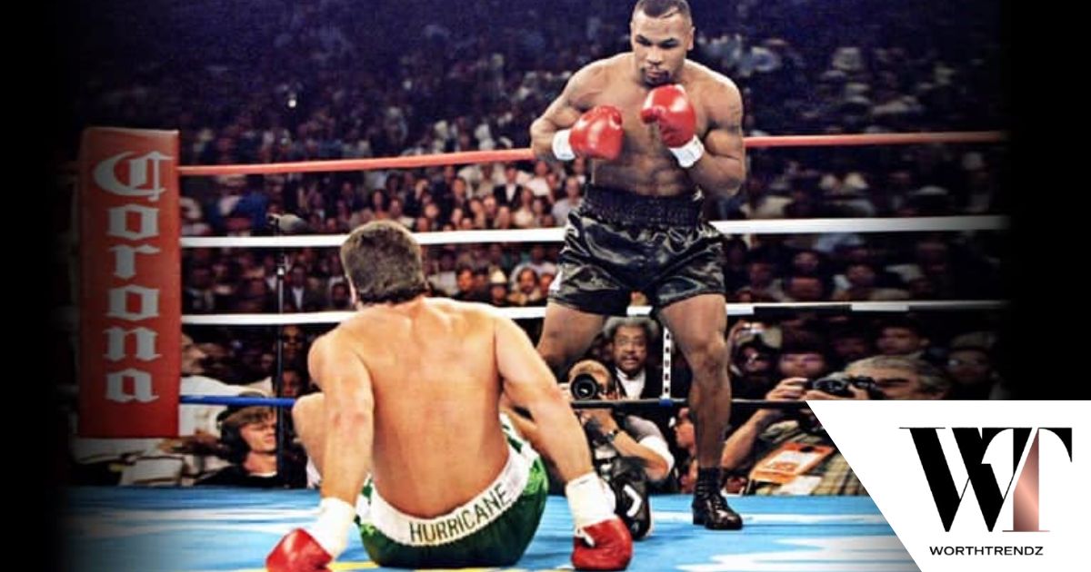 Professional Boxing Career Highlights